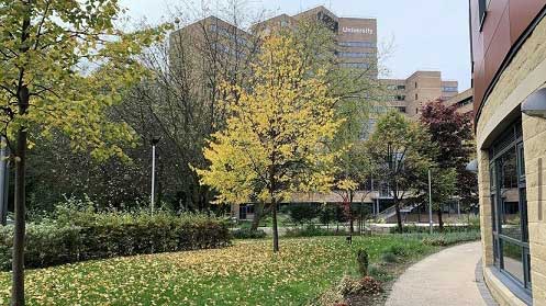 Green space by Huddersfield Business School
