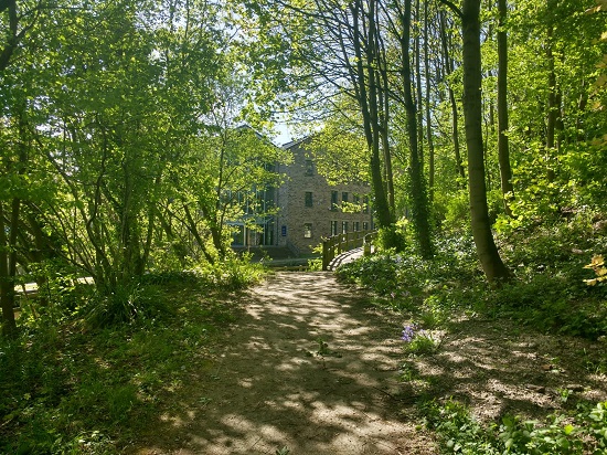 Woodland walk on campus along the canal