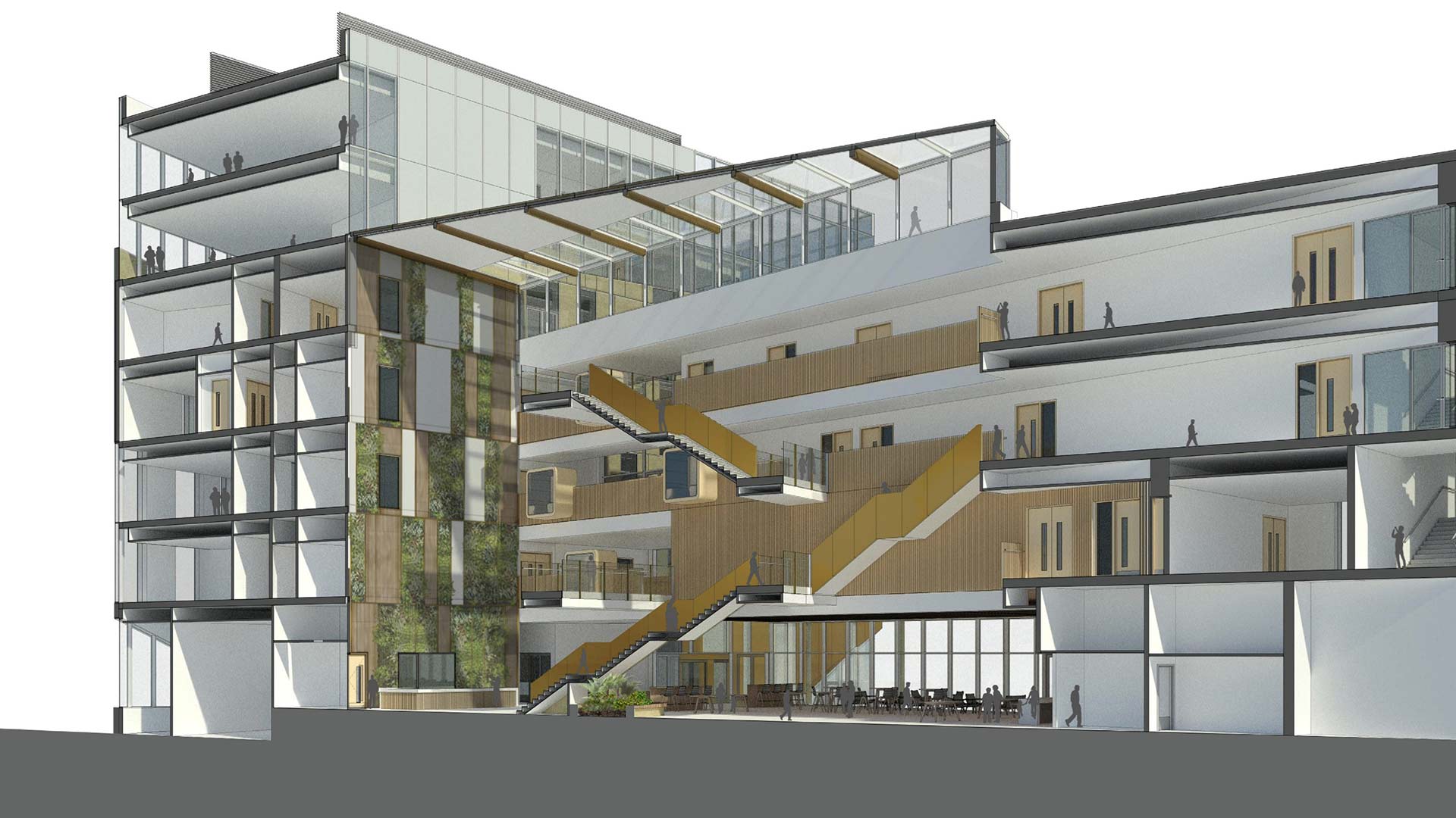 Artist impression of the internal space within the Daphne Steele Building, part of the National Health Innovation Campus